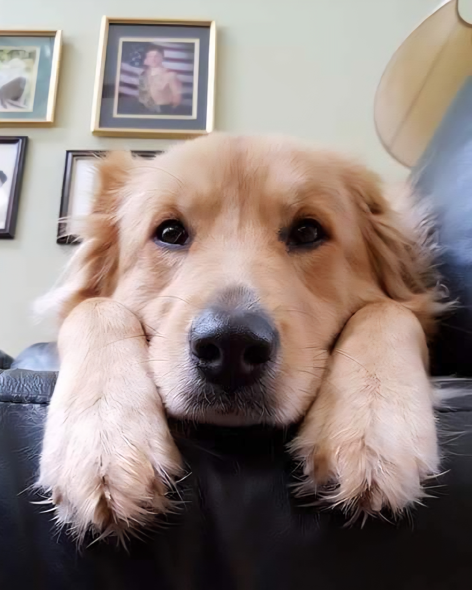 Bella